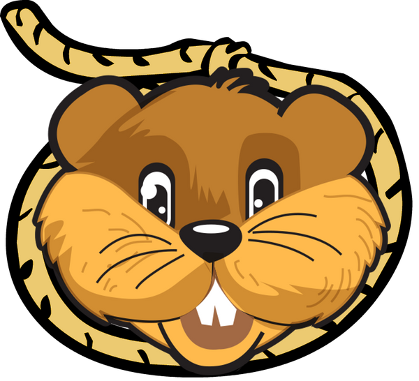 Lasso Trap logo