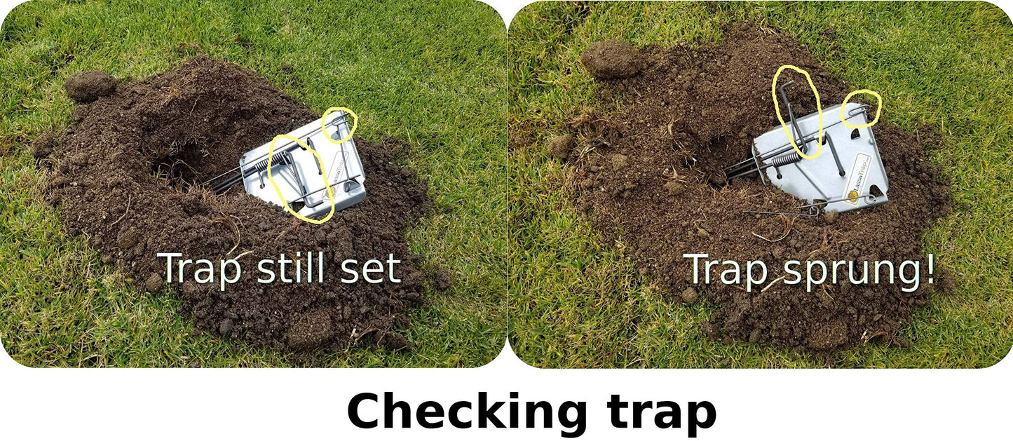 GOPHER TRAP