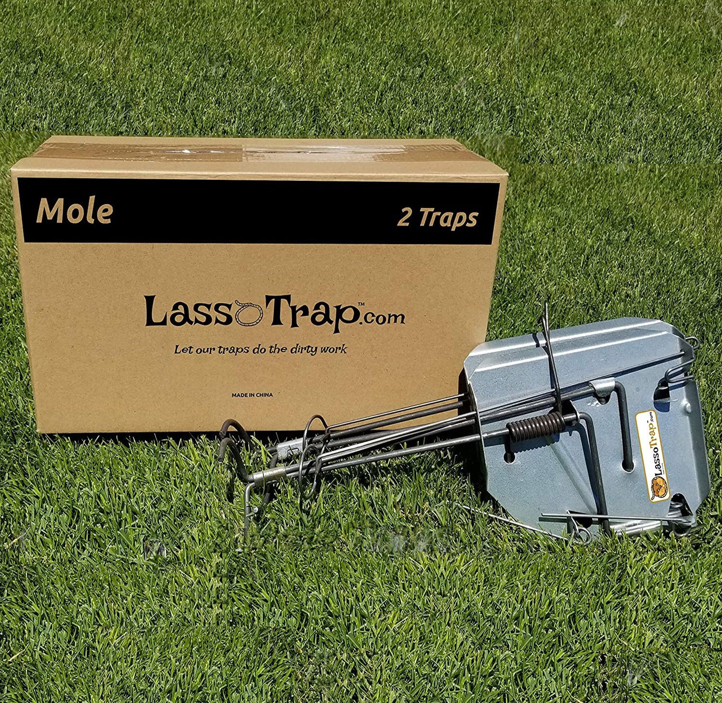 MOLE TRAP